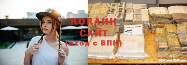 стафф Алзамай