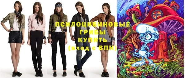 стафф Алзамай