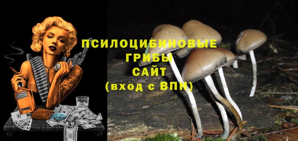 первитин Алексин