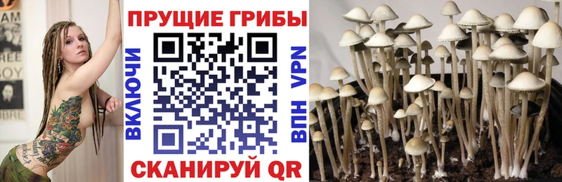 магазин наркотиков Иннополис MEGA зеркало Галлюциногенные грибы Cubensis